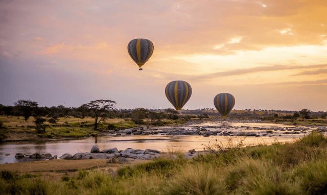 The Great Safari Circle: Serengeti Plains, Maasai Warriors & Uganda’s Giants: