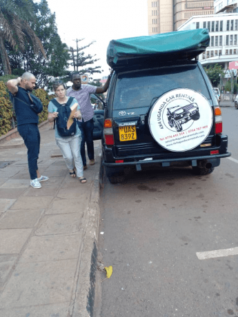 How Much Does a Self-Drive Safari Cost? Breaking Down the Budget