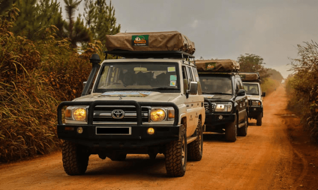 What to Carry on a Self-Drive Adventure in Uganda and Kenya: