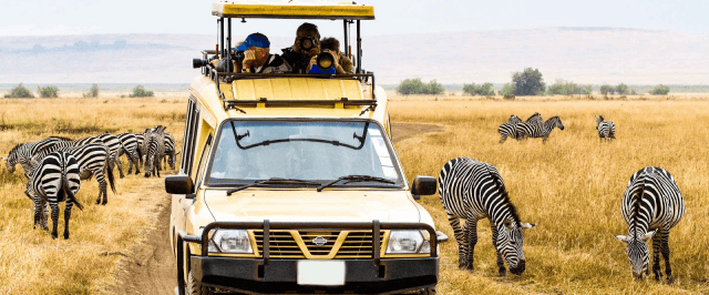 Birdwatching in Masai Mara & Wildlife Tracking in Tanzania: A Safari Fusion: