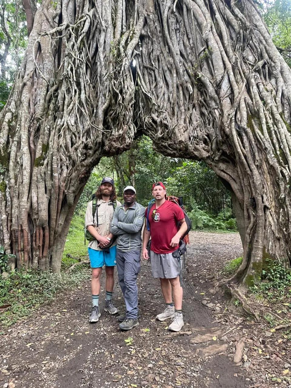 Tanzania Safari and Kilimanjaro Climbing Guide 2026: Real Travel Experience, Costs, Timing & Packages Explained