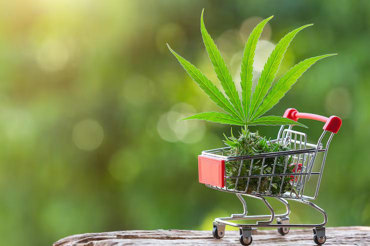Meta Title: Seattle Recreational Cannabi
